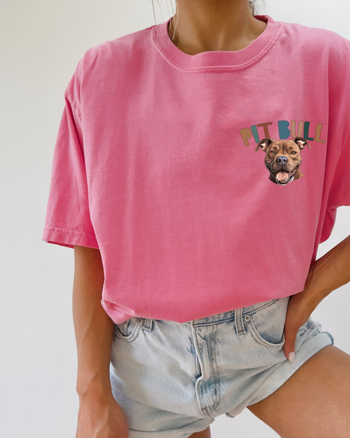 Pitbull Dog Comfort Colors T-Shirt, Pit Bull Lover Gift
