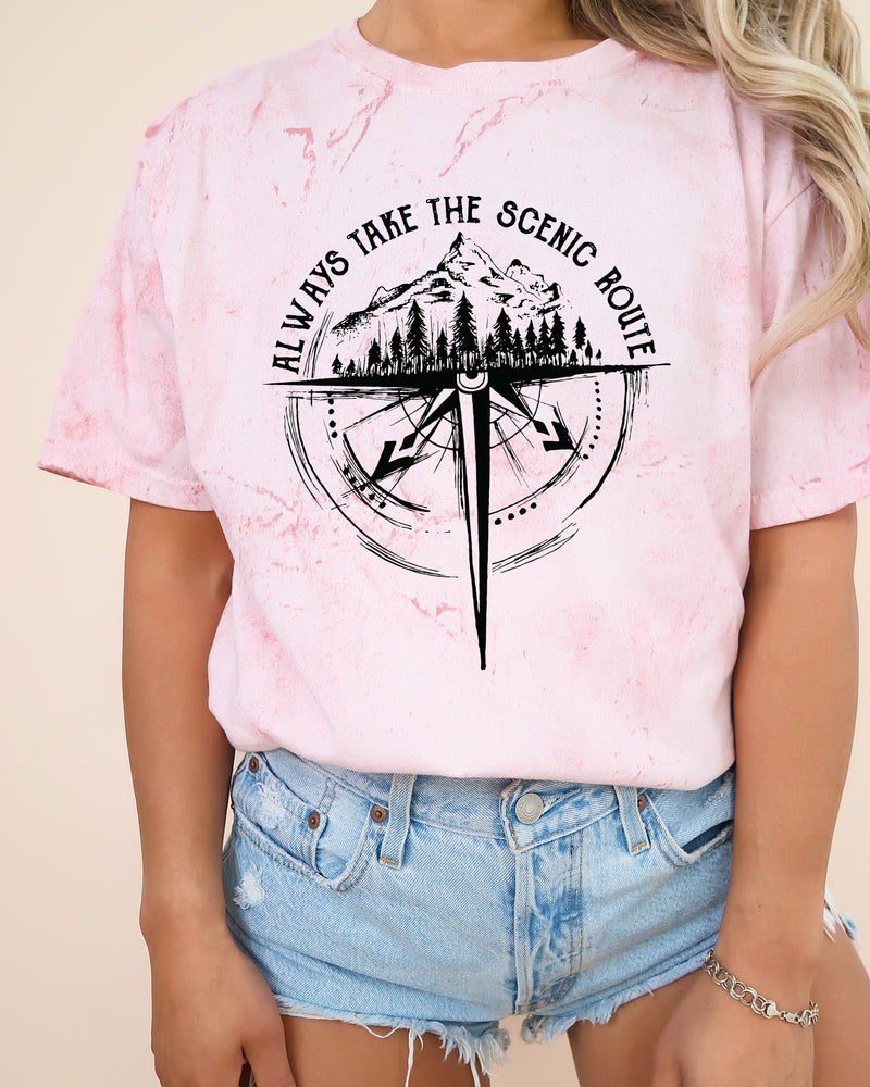 Camping Compass Mountain Summer Plant Nature Garment Dyed T Shirt
