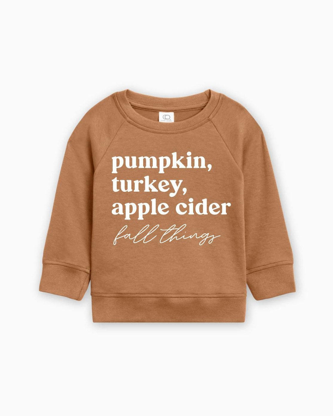 Pumpkin, Turkey, Apple Cider Fall Things Organic Cotton Baby and Toddler Pullover