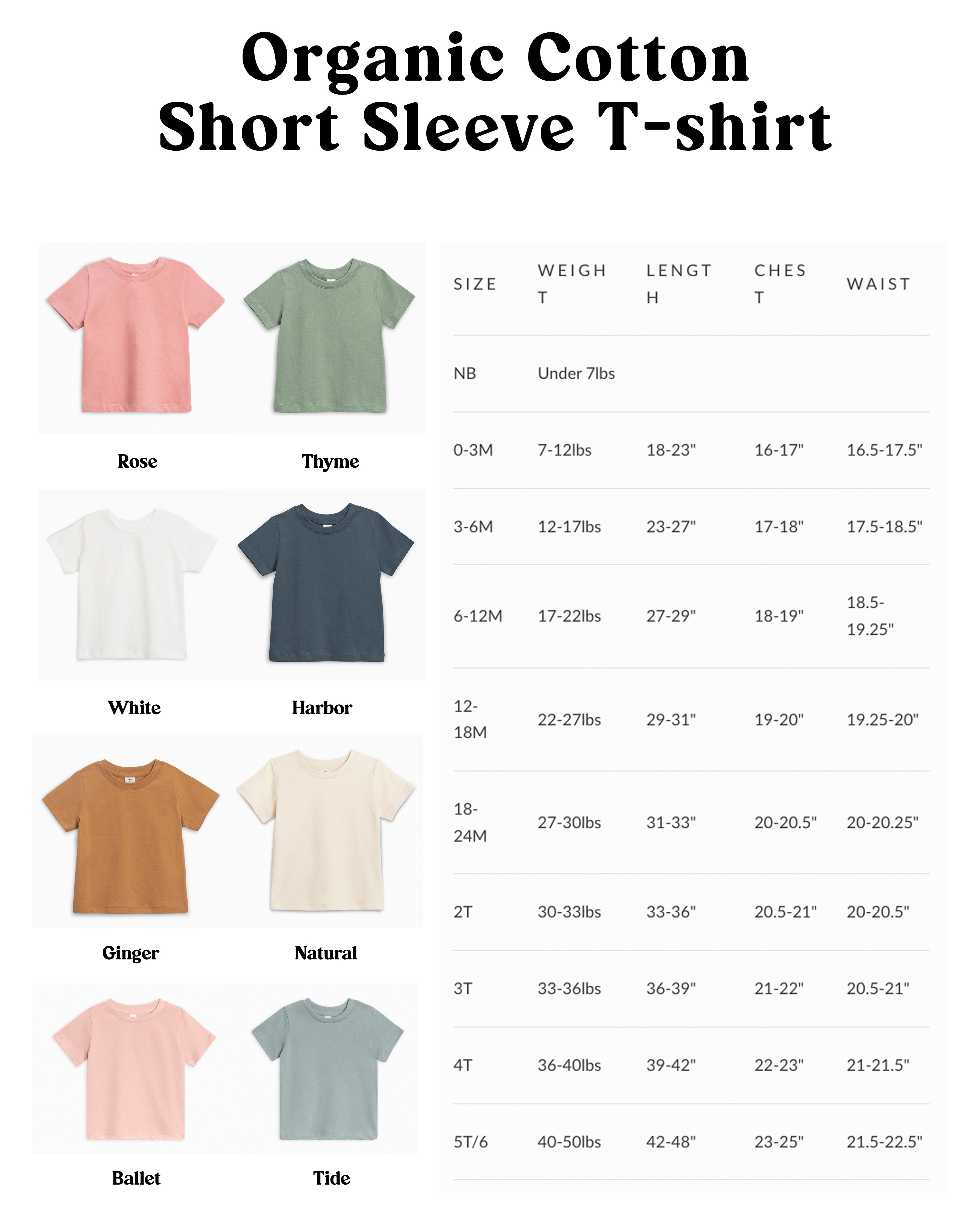 Three 3rex Trex dinosaur Birthday Organic Cotton Baby And Kids Tee