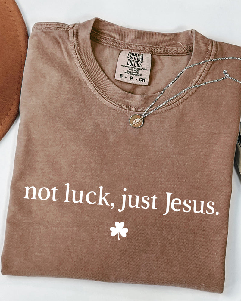 Not Luck, Just Jesus St. Patrick's Day Theme Comfort Colors T Shirt