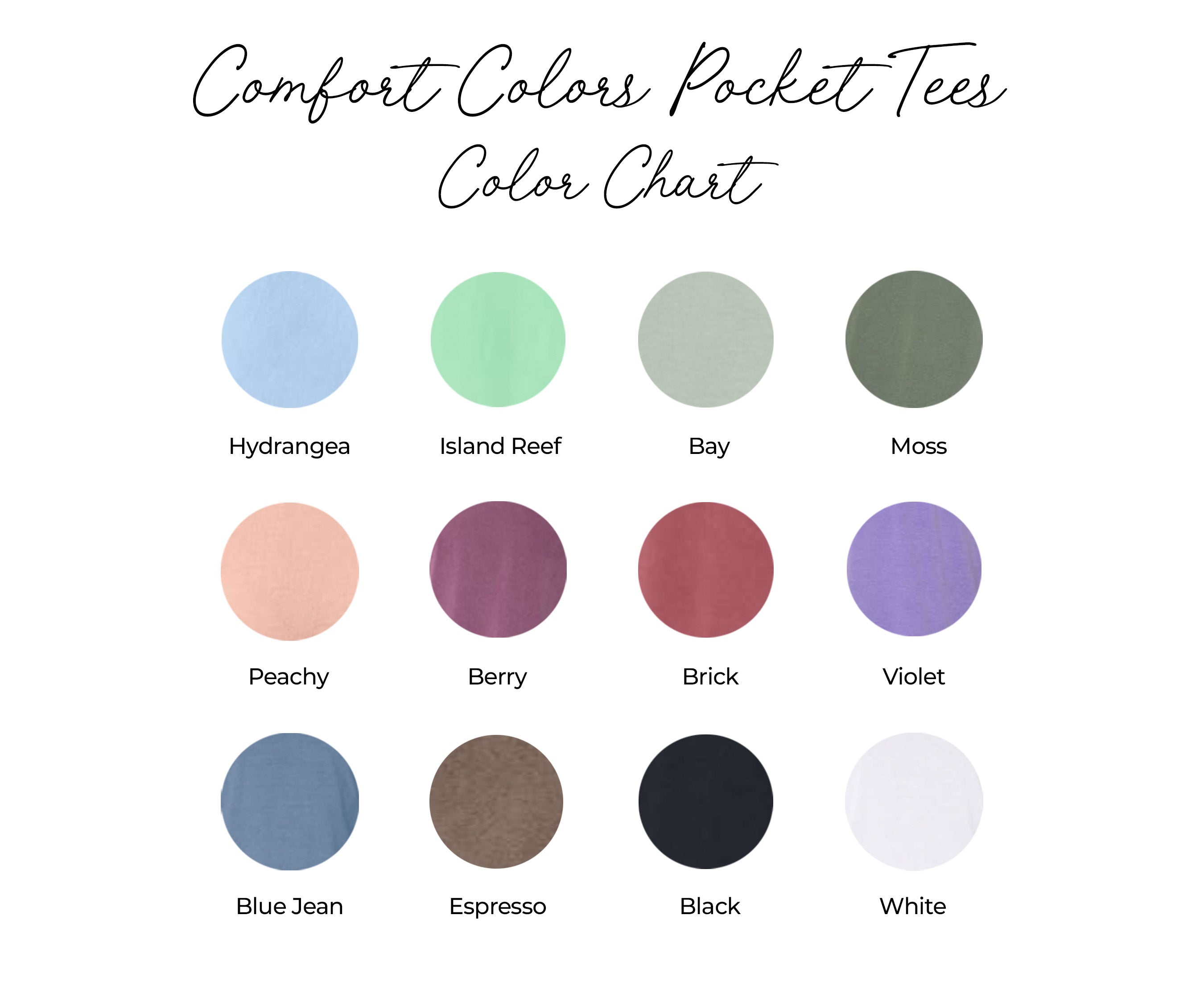 Teacher Teach back to school Comfort Colors Pocket T Shirt (Leopard)