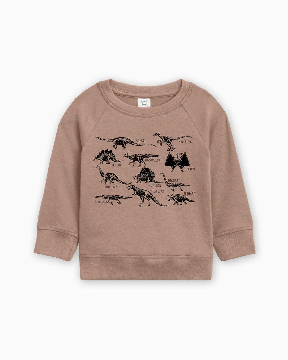 Dinosaur Skulls Organic Cotton Baby Toddler Pullover