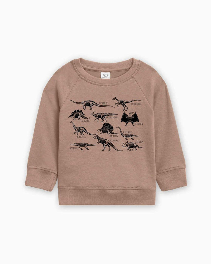 Dinosaur Skulls Organic Cotton Baby Toddler Pullover