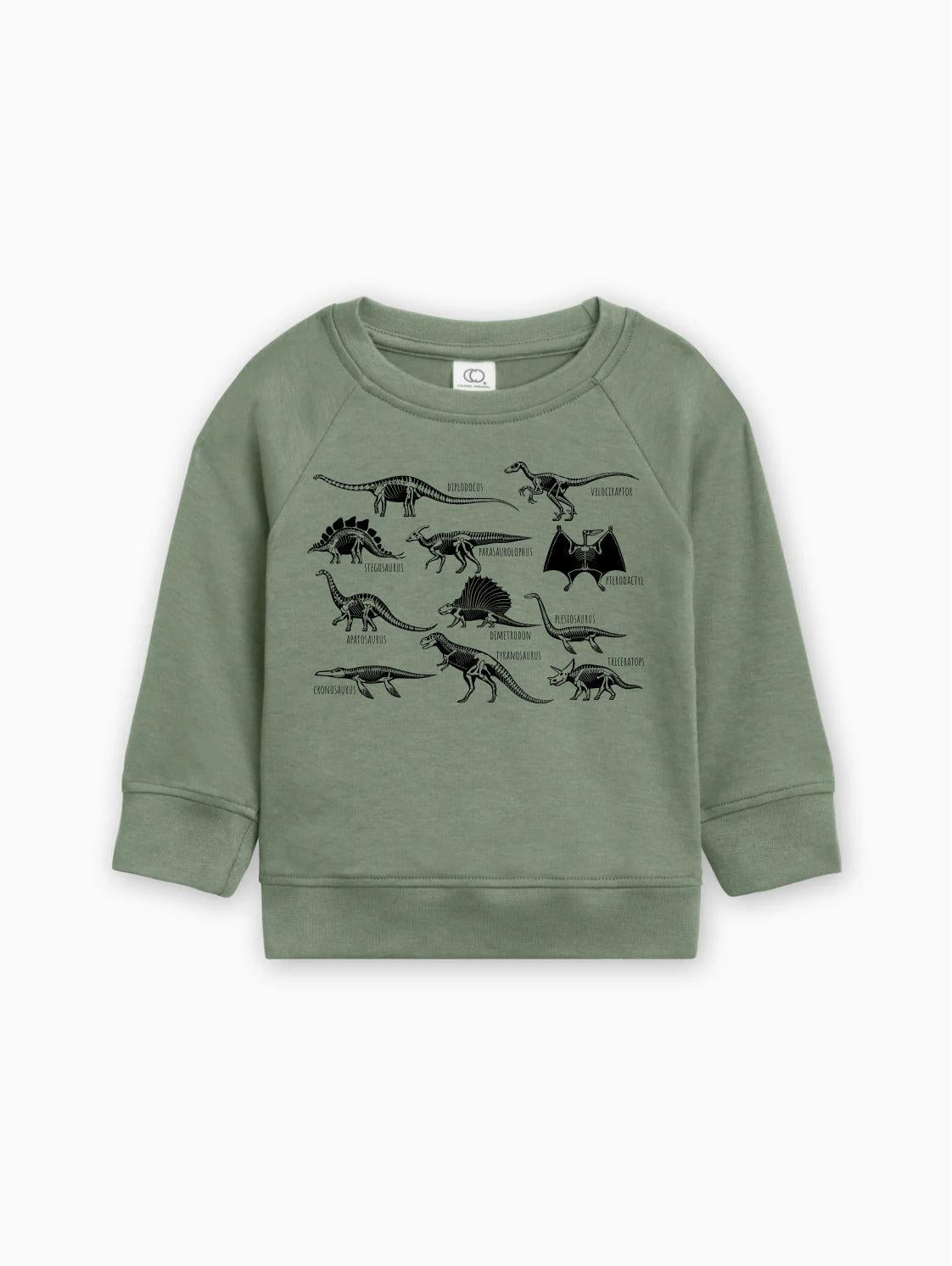 Dinosaur Skulls Organic Cotton Baby Toddler Pullover