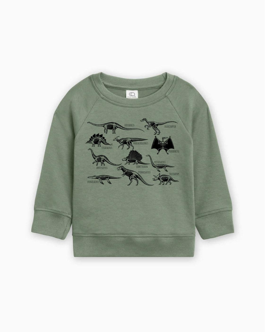 Dinosaur Skulls Organic Cotton Baby Toddler Pullover