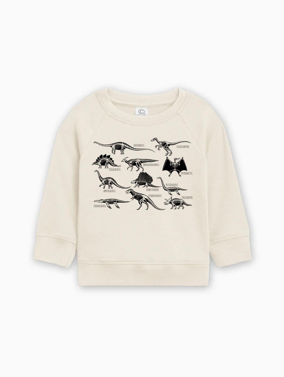 Dinosaur Skulls Organic Cotton Baby Toddler Pullover