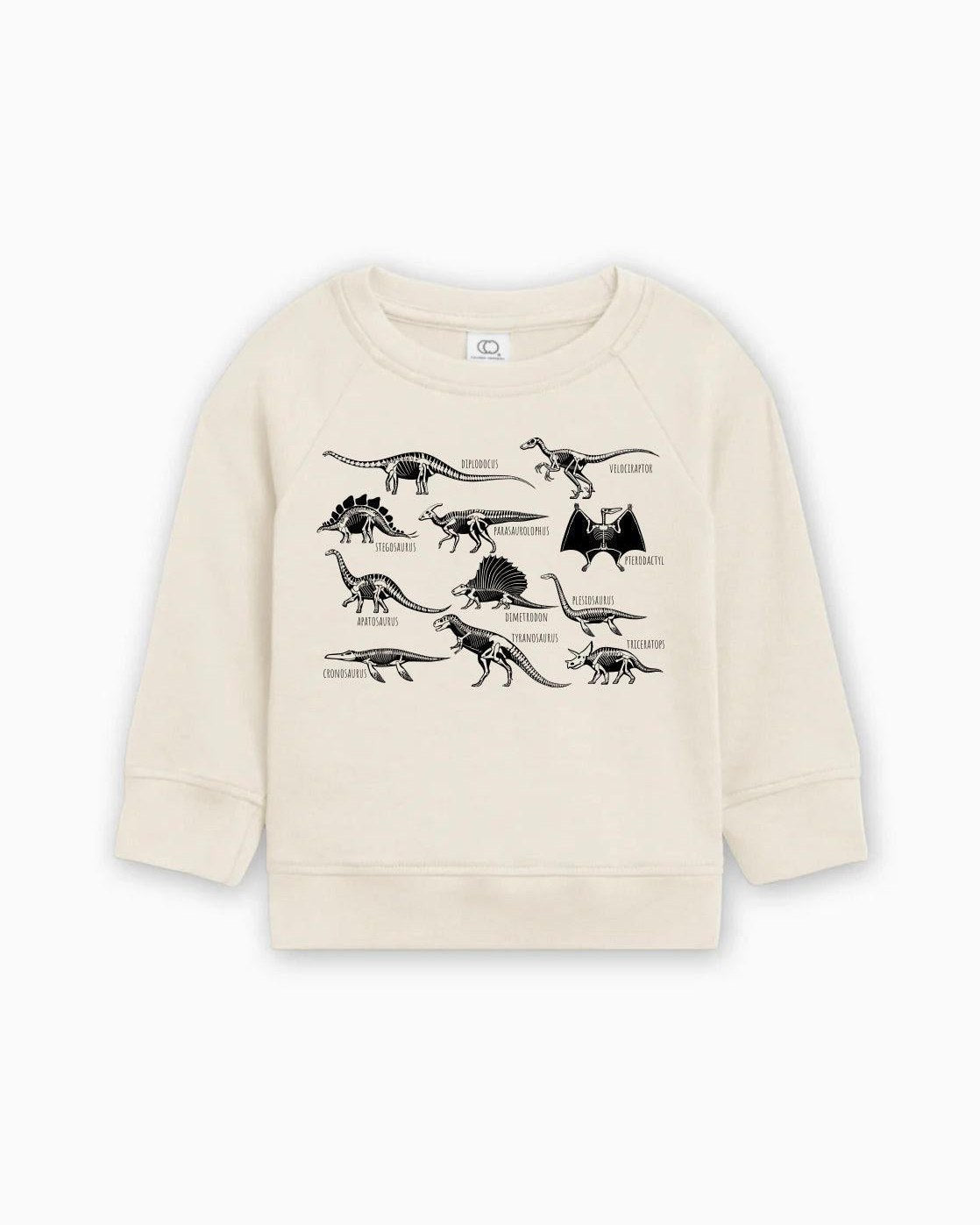 Dinosaur Skulls Organic Cotton Baby Toddler Pullover