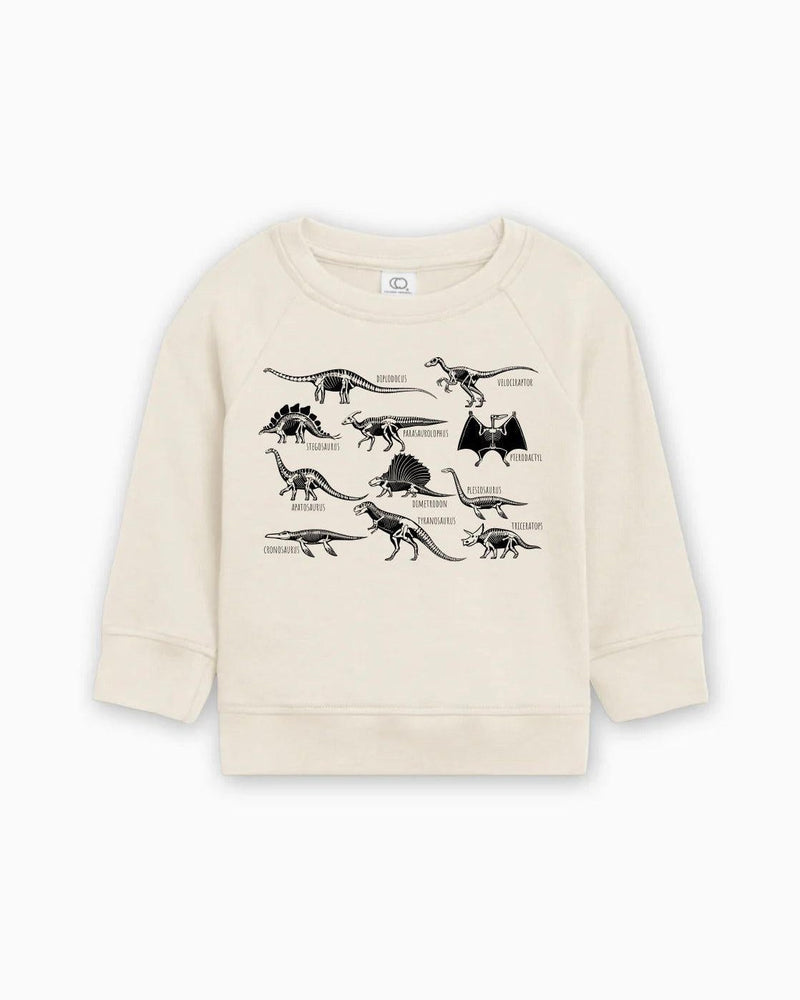 Dinosaur Skulls Organic Cotton Baby Toddler Pullover
