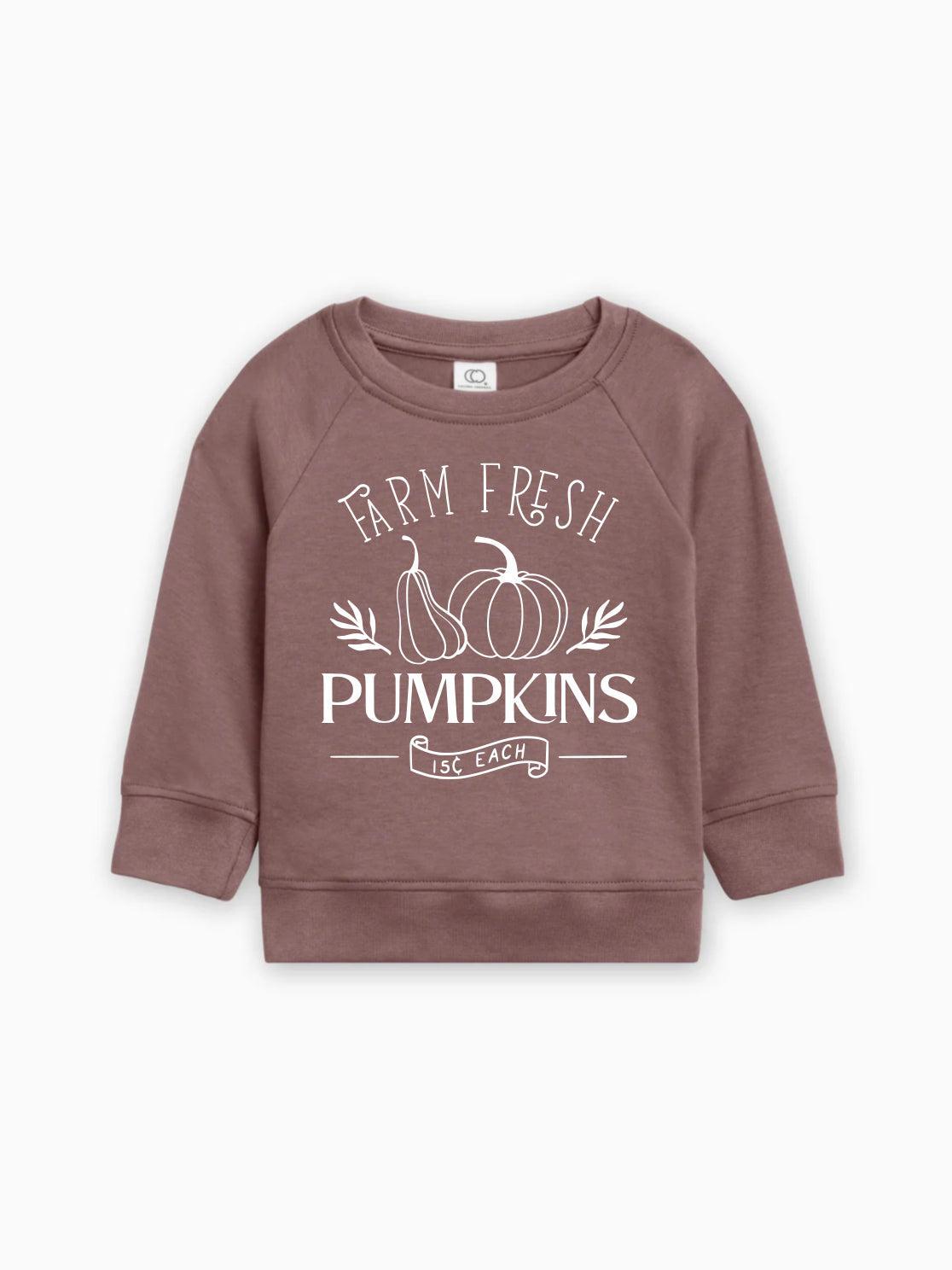 Farm Fresh Pumpkins Organic Cotton Baby and Toddler Fall and Winter Pullover