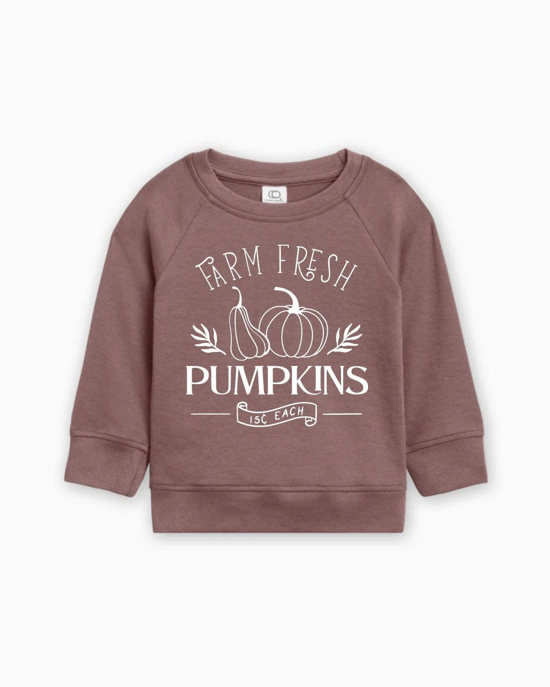 Farm Fresh Pumpkins Organic Cotton Baby and Toddler Fall and Winter Pullover