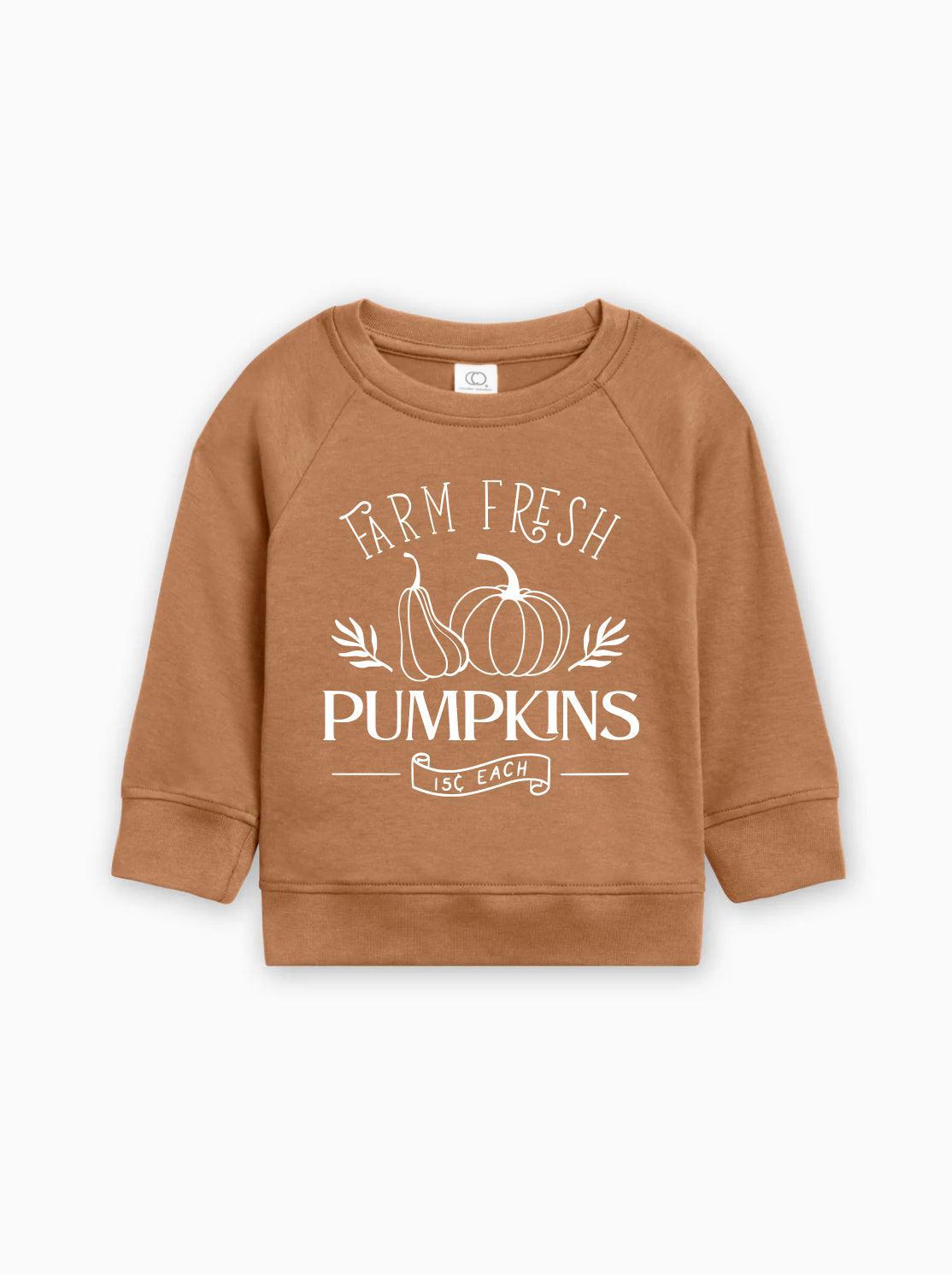 Farm Fresh Pumpkins Organic Cotton Baby and Toddler Fall and Winter Pullover