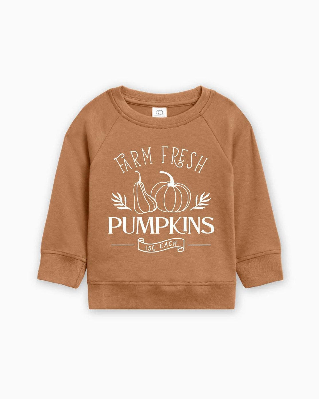 Farm Fresh Pumpkins Organic Cotton Baby and Toddler Fall and Winter Pullover
