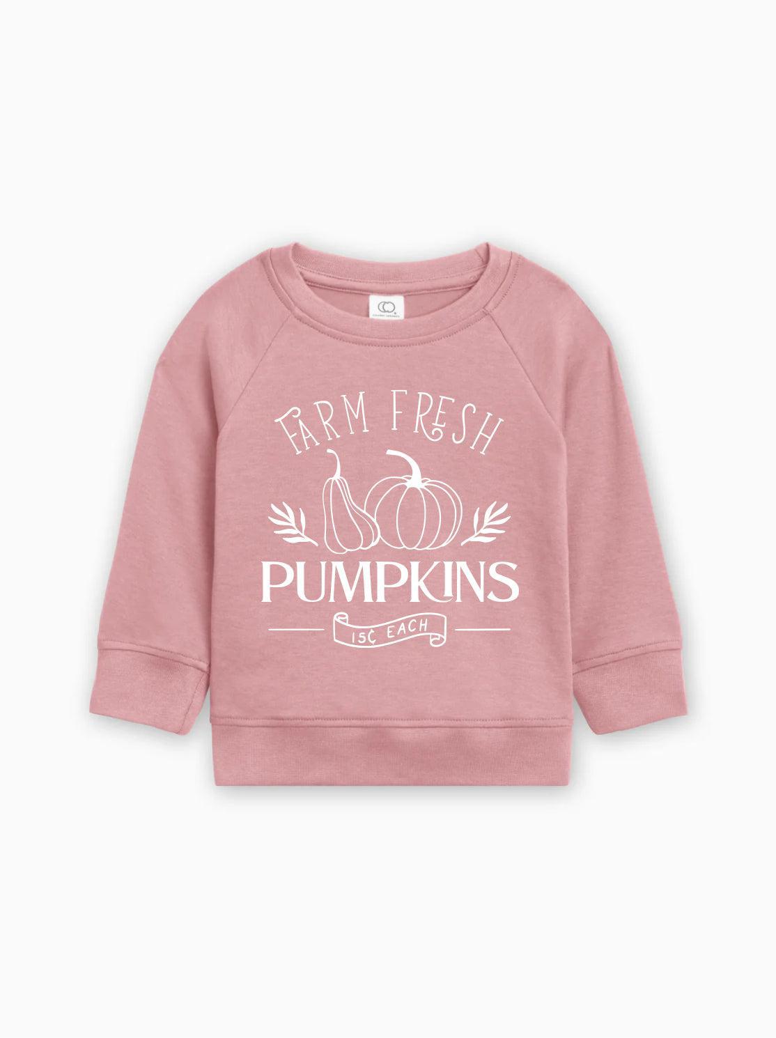 Farm Fresh Pumpkins Organic Cotton Baby and Toddler Fall and Winter Pullover