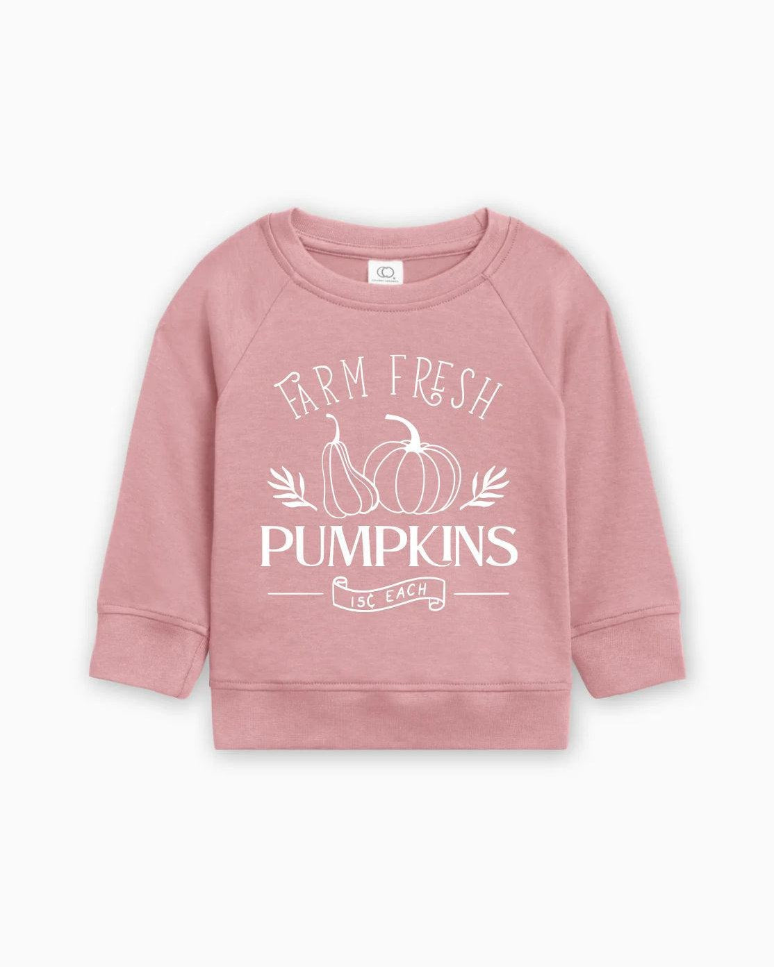 Farm Fresh Pumpkins Organic Cotton Baby and Toddler Fall and Winter Pullover