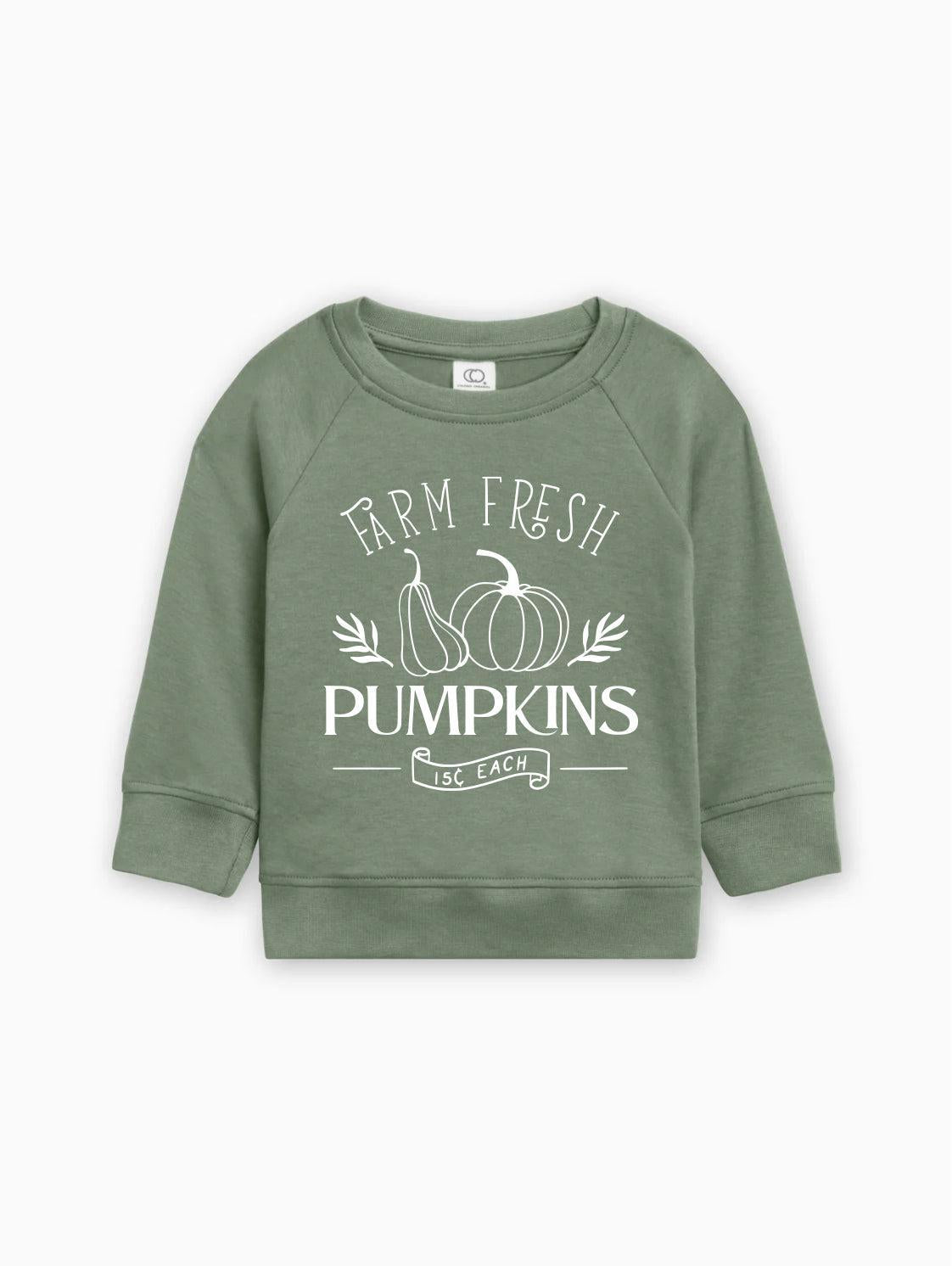 Farm Fresh Pumpkins Organic Cotton Baby and Toddler Fall and Winter Pullover