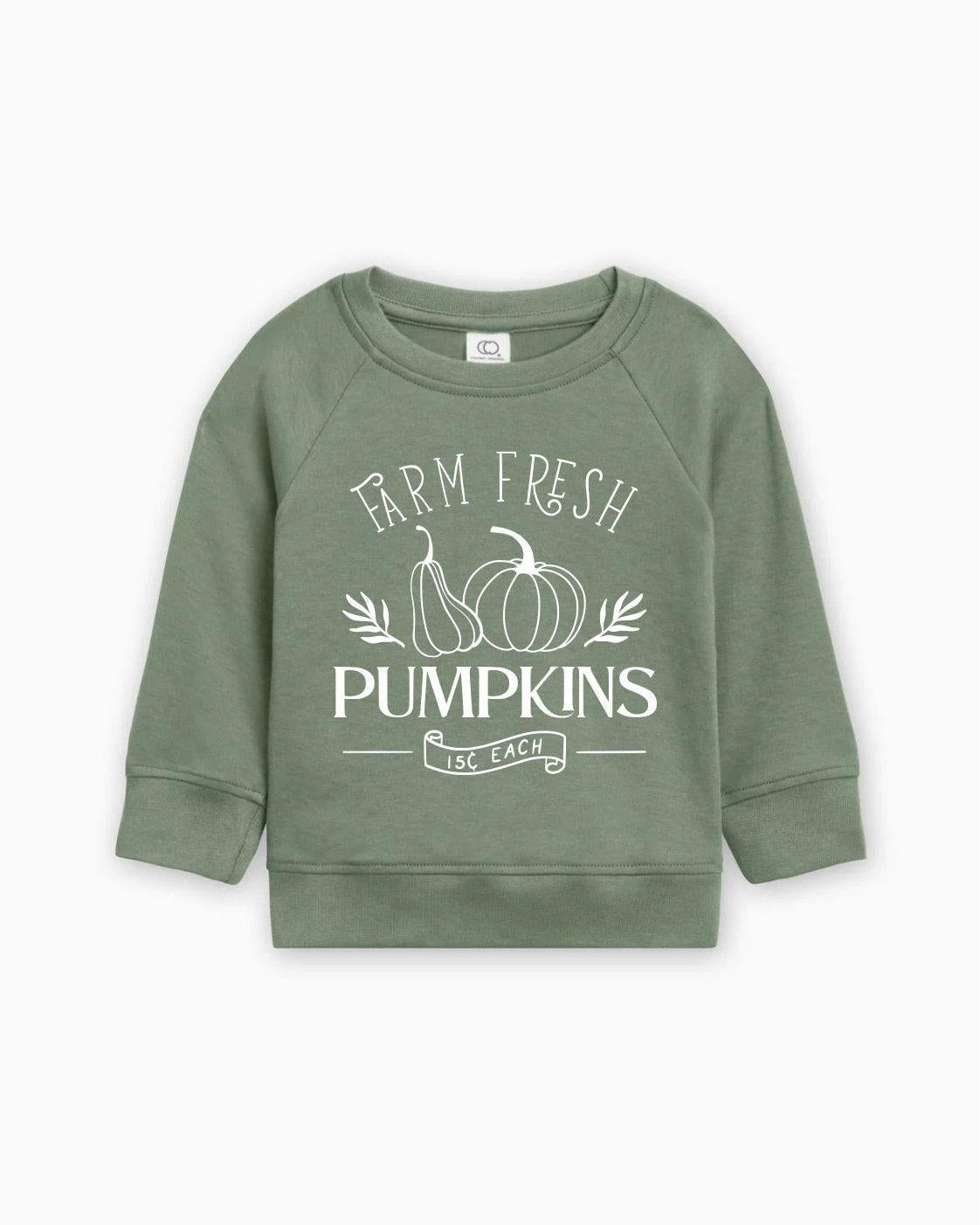 Farm Fresh Pumpkins Organic Cotton Baby and Toddler Fall and Winter Pullover