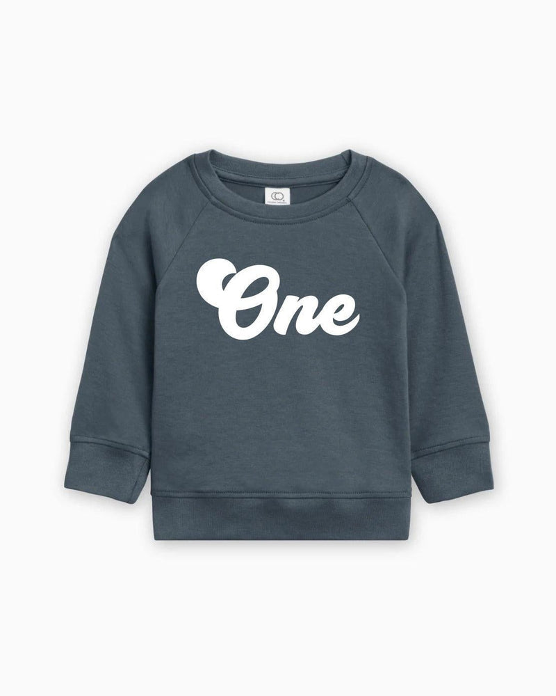 One Birthday 1st Birthday Toddler Organic Cotton Pullover (Groovy)