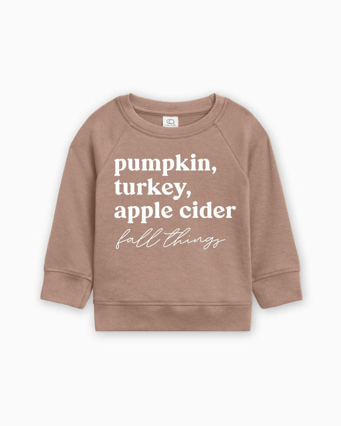 Pumpkin, Turkey, Apple Cider Fall Things Organic Cotton Baby and Toddler Pullover