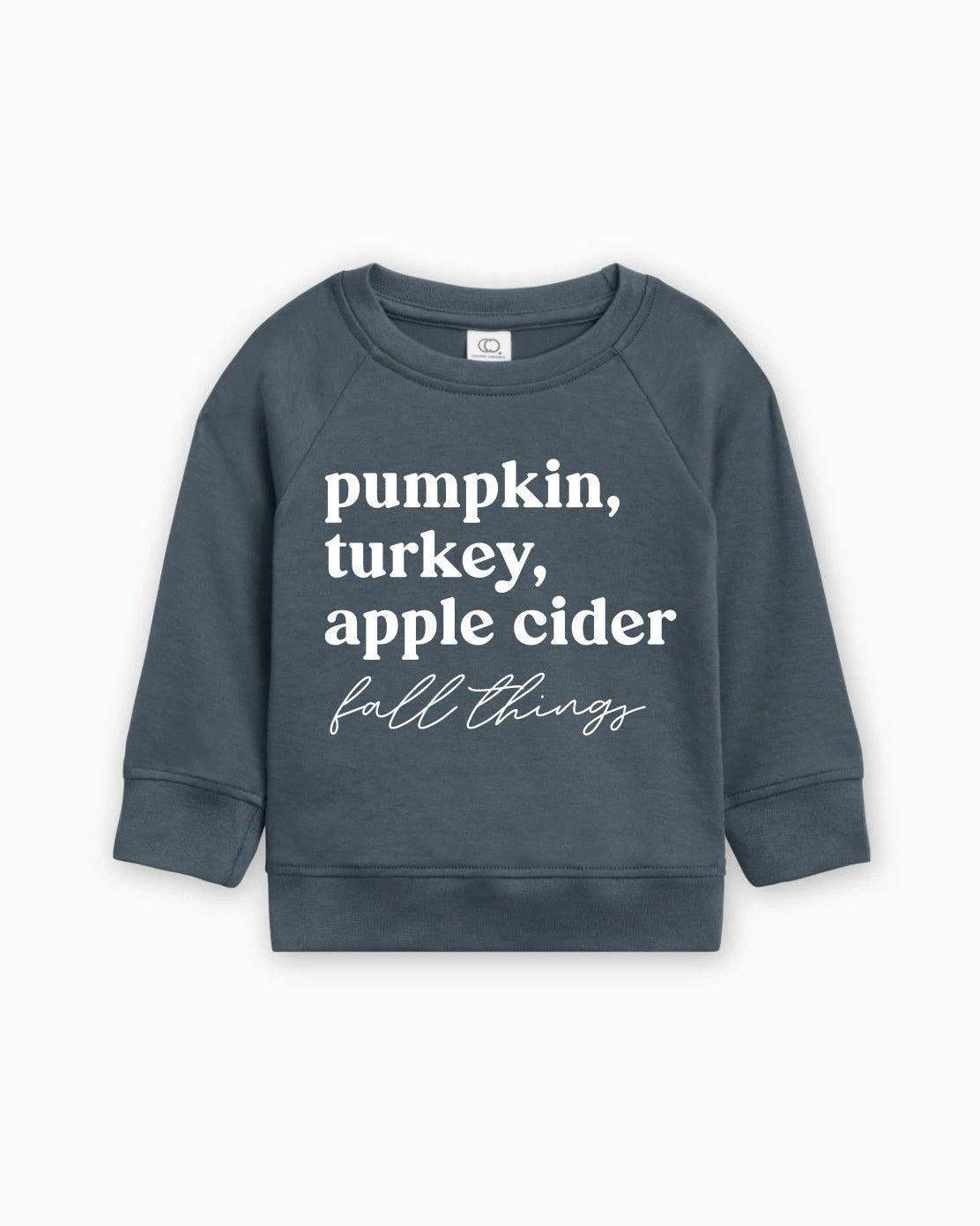 Pumpkin, Turkey, Apple Cider Fall Things Organic Cotton Baby and Toddler Pullover