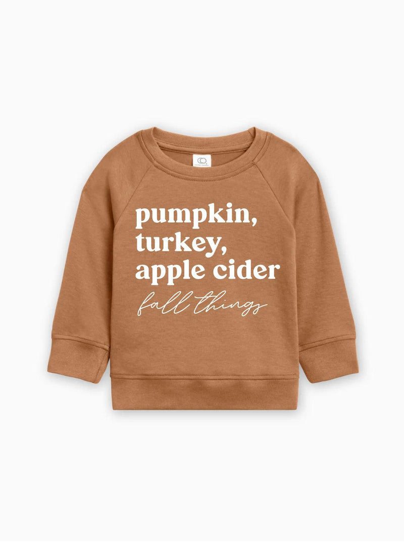 Pumpkin, Turkey, Apple Cider Fall Things Organic Cotton Baby and Toddler Pullover