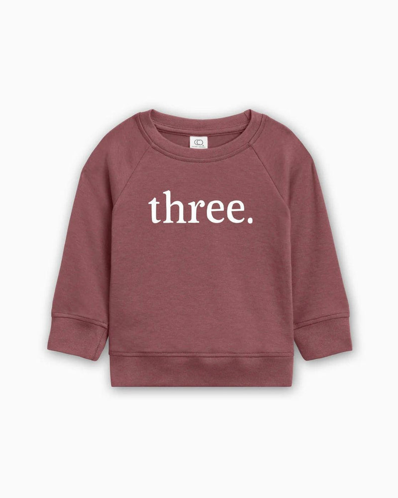 Three 3rd Birthday Organic Cotton Baby Pullover (volume font)