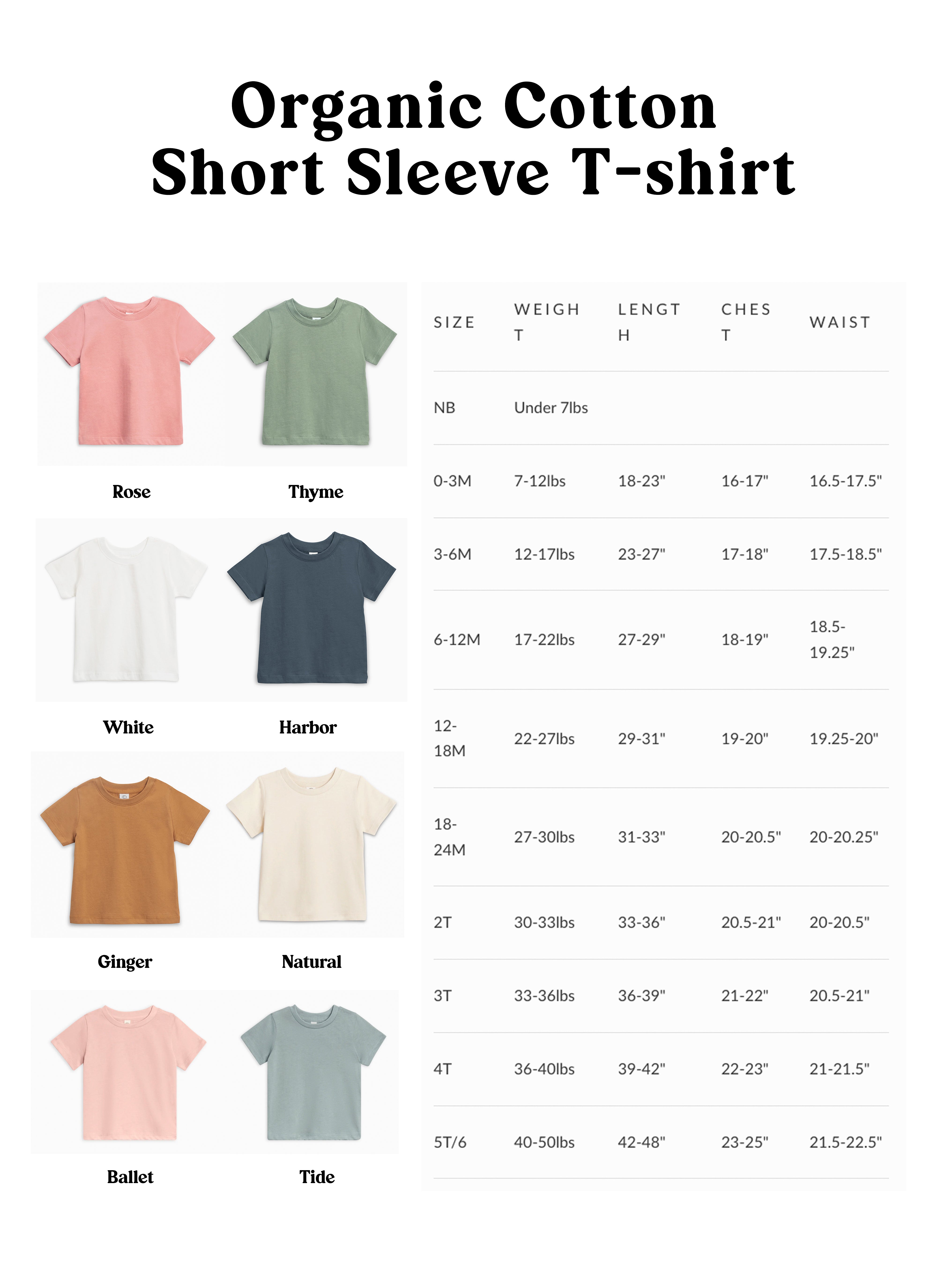 Three 3rex Trex dinosaur Birthday Organic Cotton Baby And Kids Tee