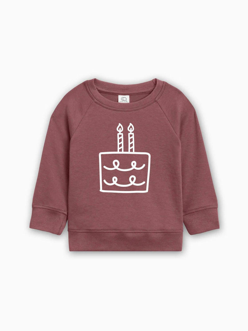 Two 2nd Birthday Cake Organic Cotton Baby Pullover