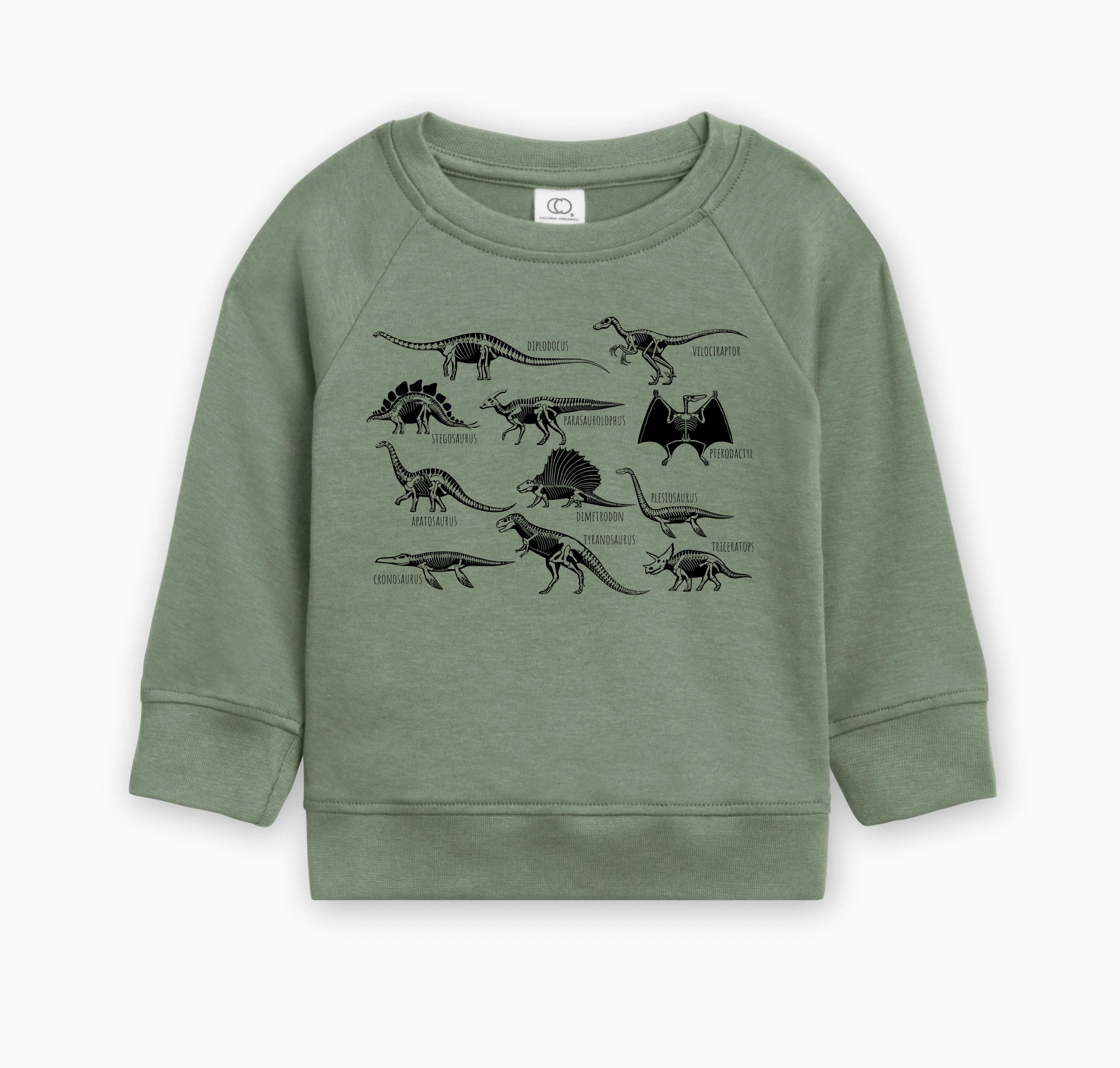 Dinosaur Skulls Organic Cotton Baby Toddler Pullover