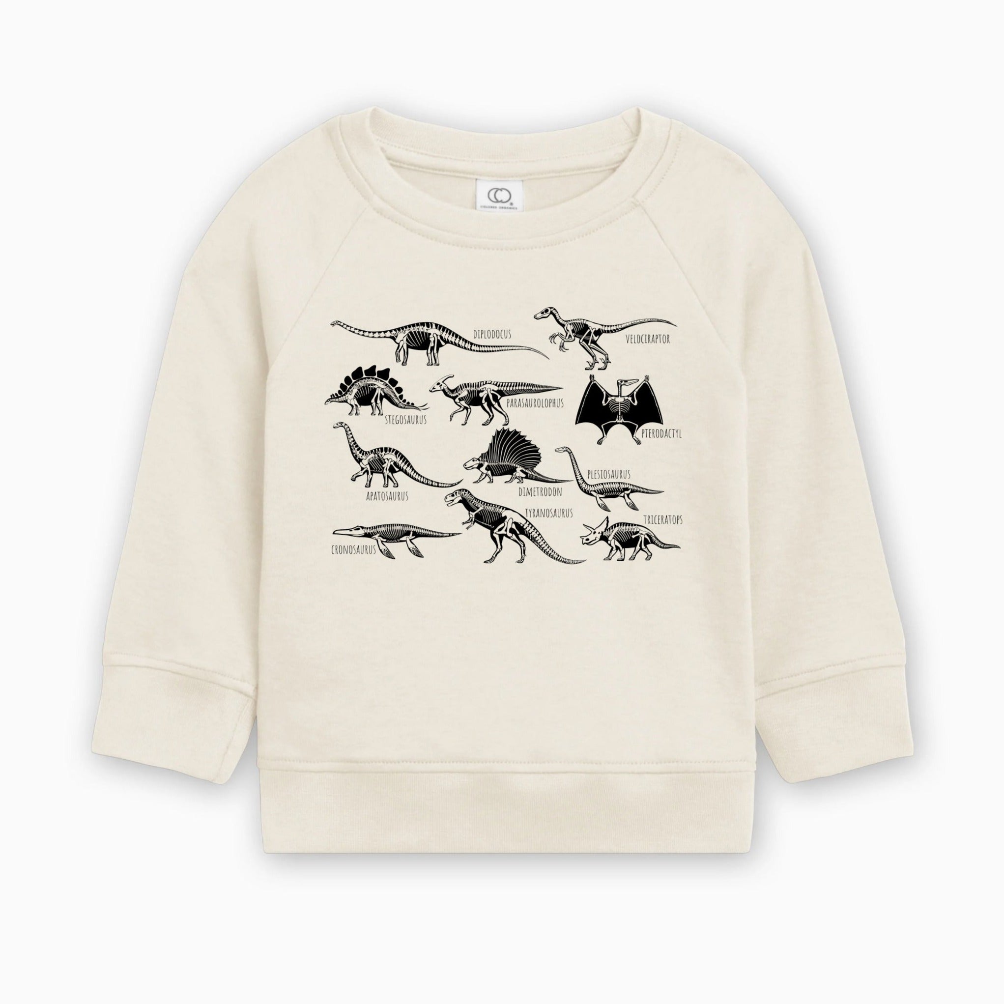 Dinosaur Skulls Organic Cotton Baby Toddler Pullover