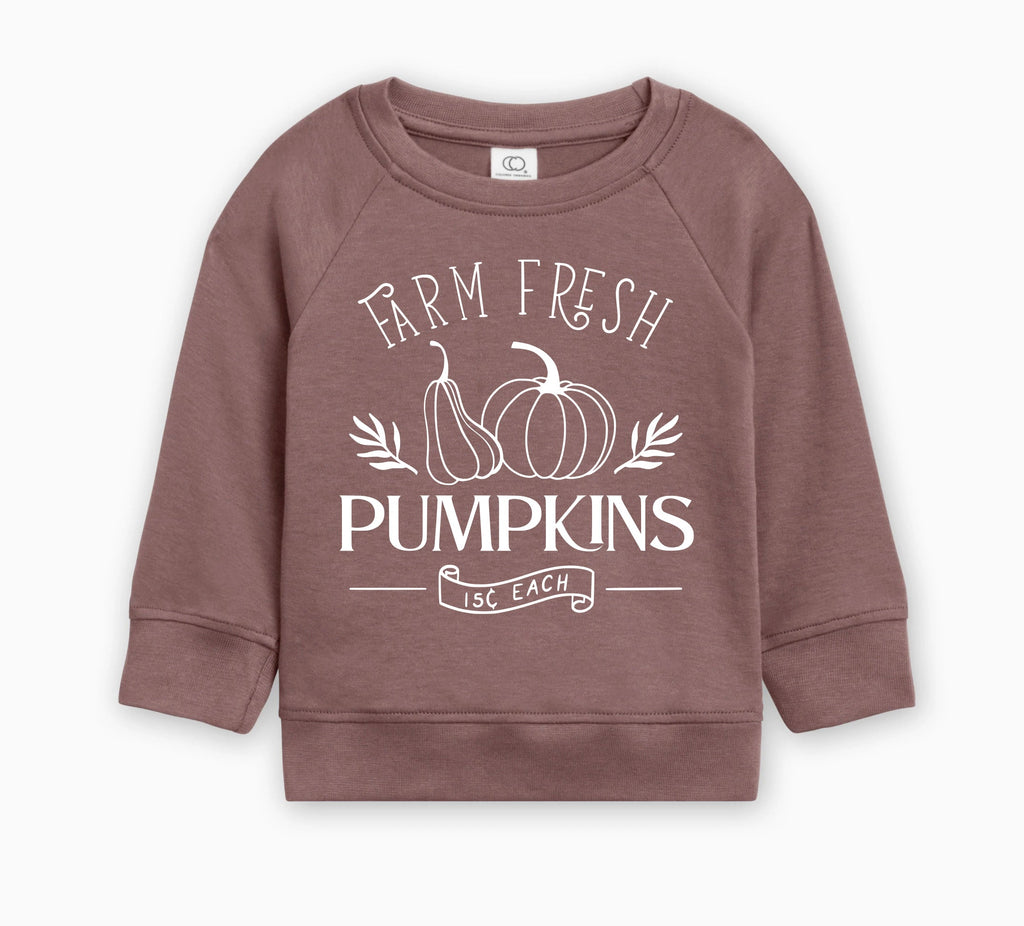 Farm Fresh Pumpkins Organic Cotton Baby and Toddler Fall and Winter Pullover