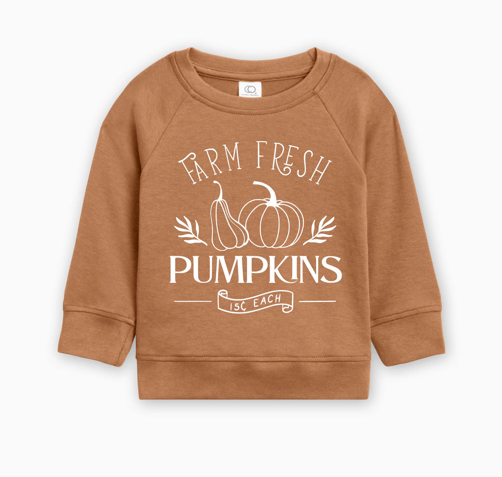Farm Fresh Pumpkins Organic Cotton Baby and Toddler Fall and Winter Pullover