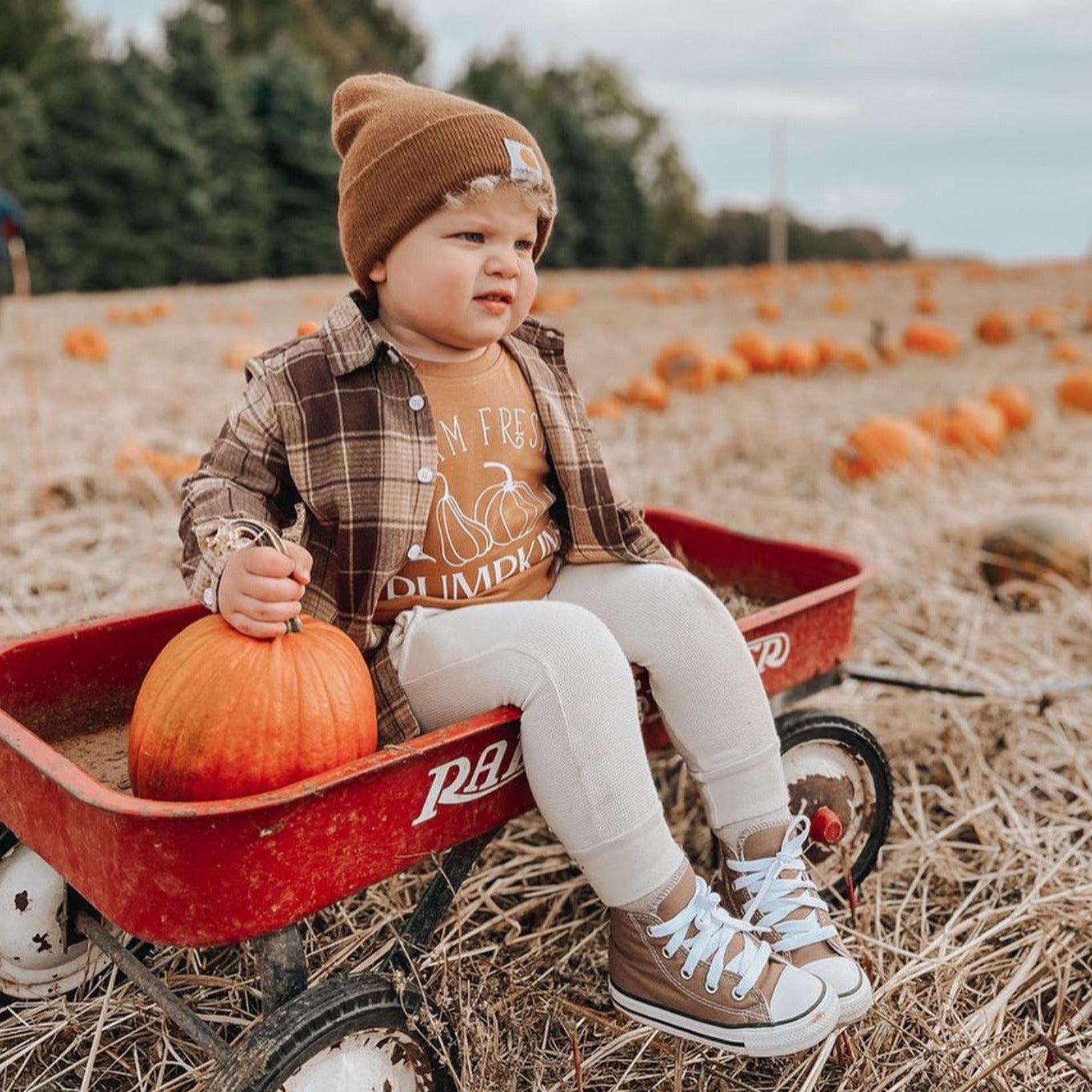 Farm Fresh Pumpkins Organic Cotton Baby and Toddler Fall and Winter Pullover