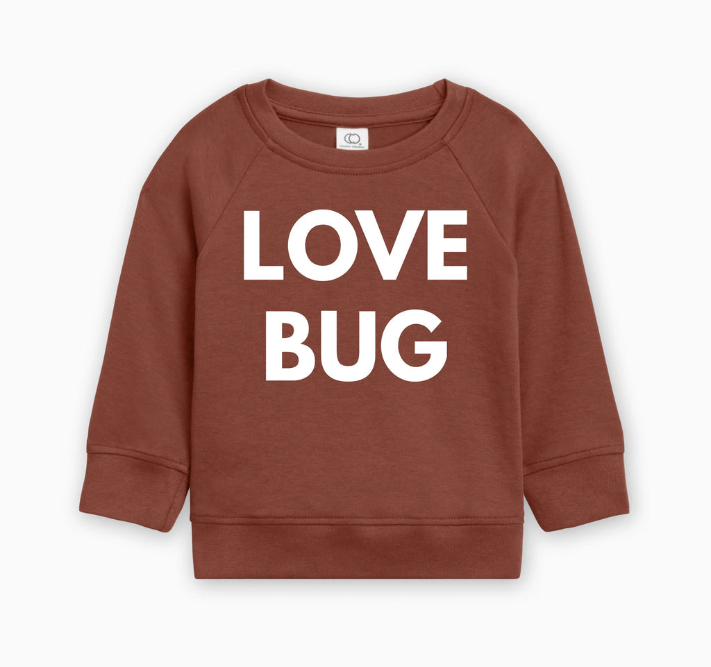 Love Bug Organic Cotton Baby Toddler Valentine Day Pullover