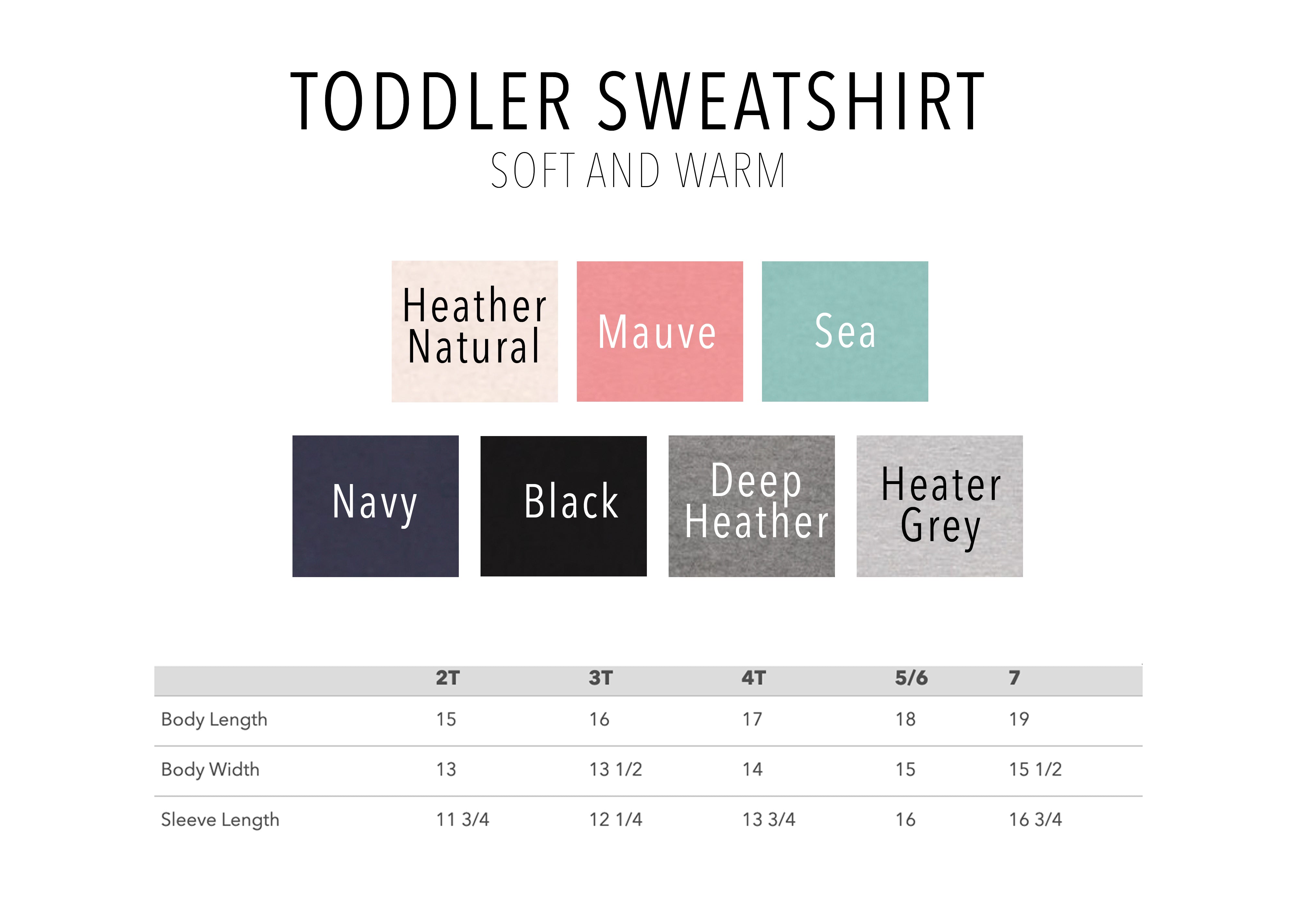 Mini Toddler Sweatshirt (Groovy)