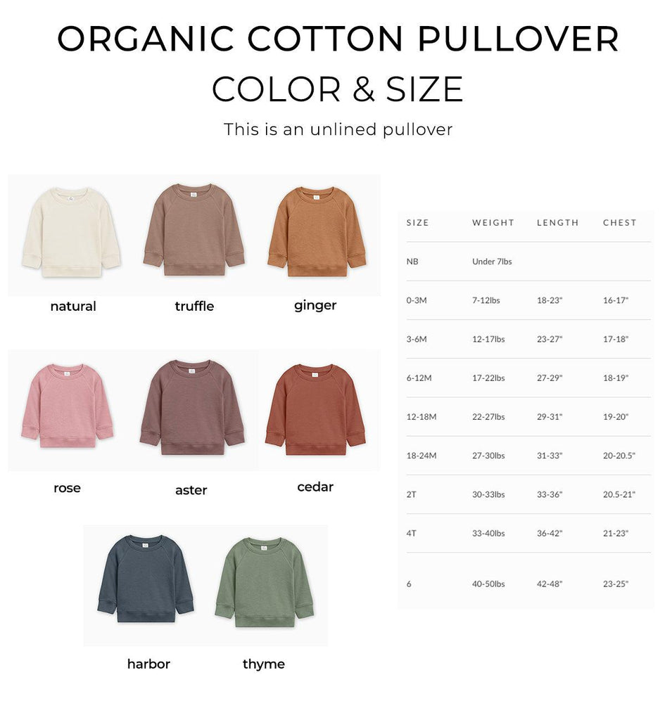 One 1st Birthday Organic Cotton Toddler Pullover (Serif)