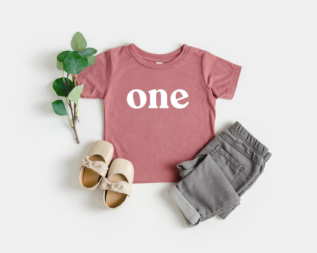 One Baby and Toddler First Birthday T shirt (Serif)