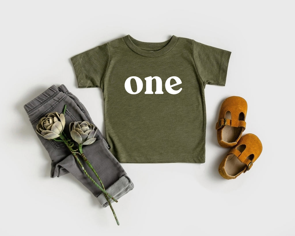 One Baby and Toddler First Birthday T shirt (Serif)