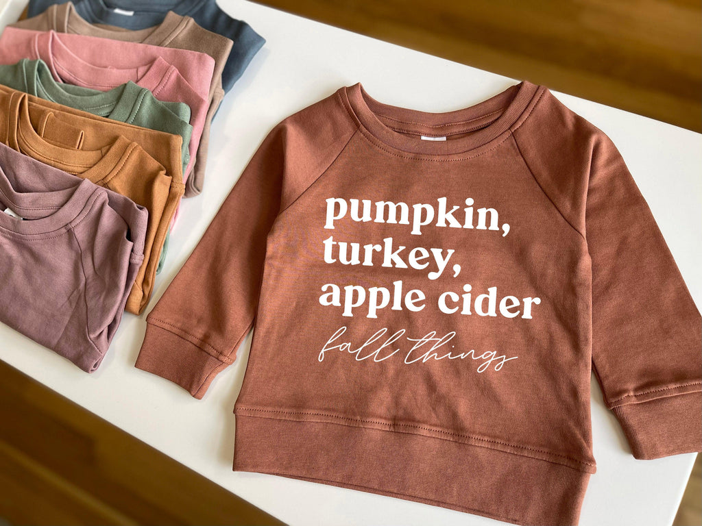 Pumpkin, Turkey, Apple Cider Fall Things Organic Cotton Baby and Toddler Pullover