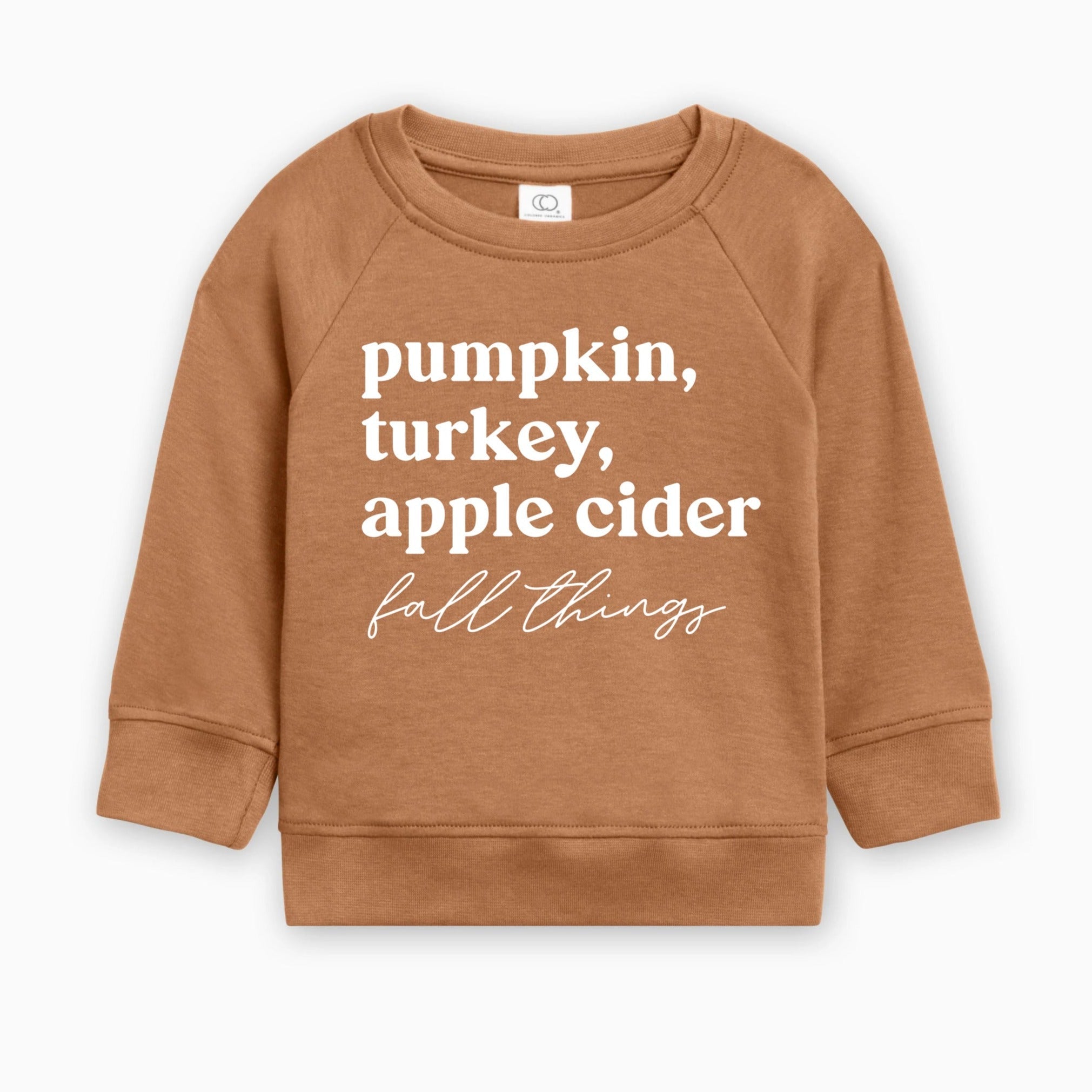 Pumpkin, Turkey, Apple Cider Fall Things Organic Cotton Baby and Toddler Pullover